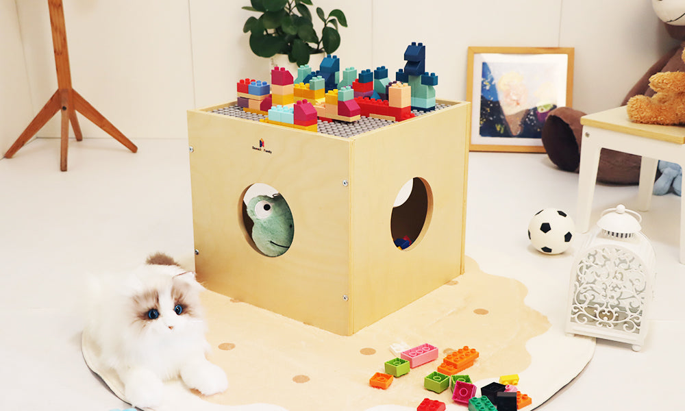Building STEM Skills Through Block Play