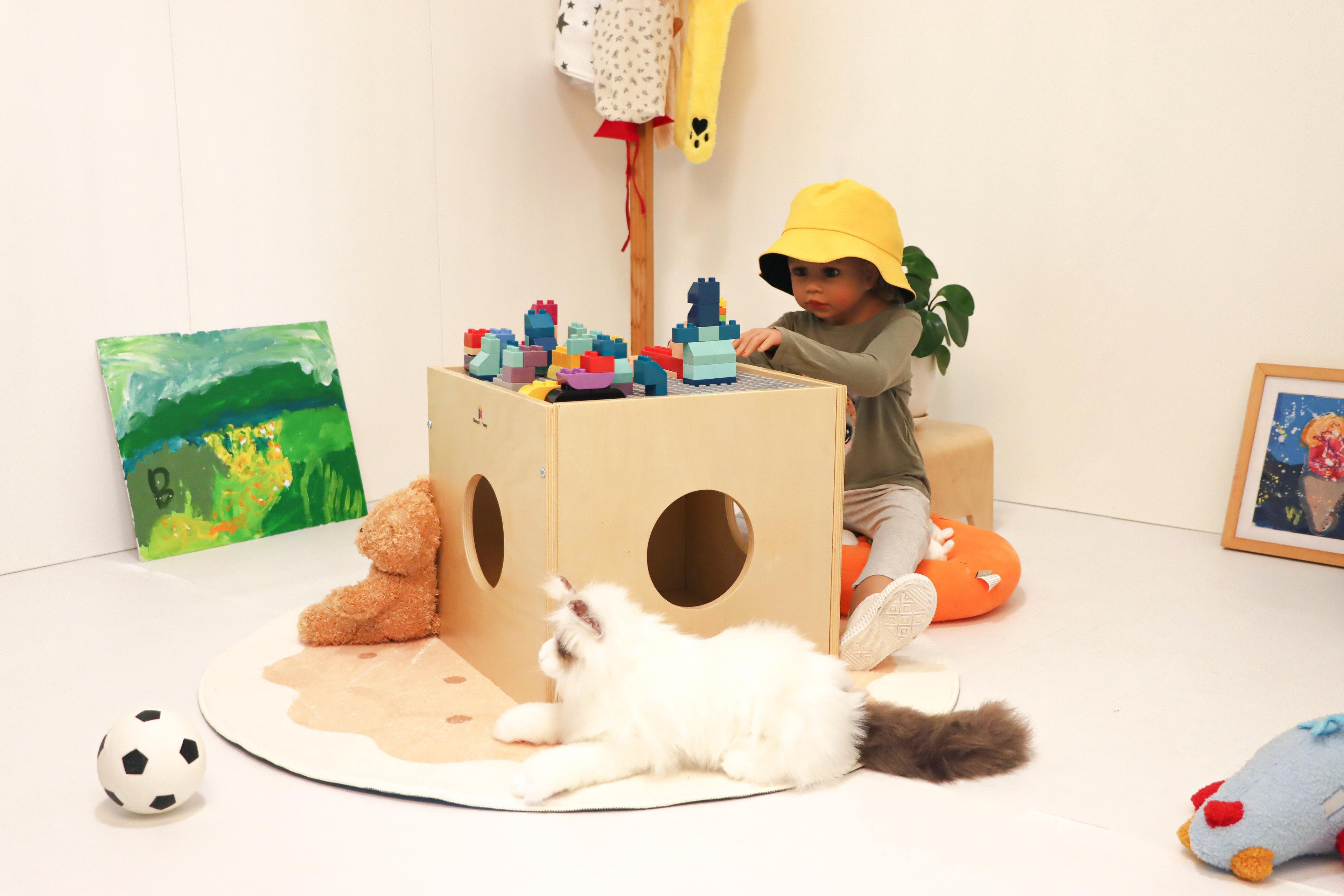 Why Multi-Functional Furniture Benefits Families